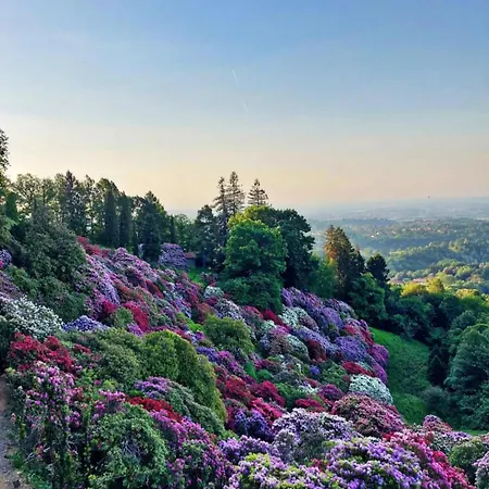 Pop Art In Centro * Biella