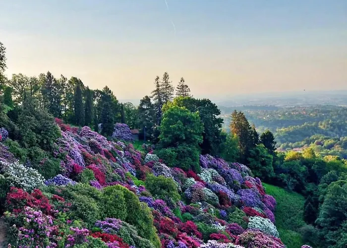 Pop Art In Centro * ביאלה